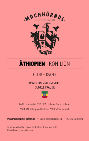 ÄTHIOPIEN Iron Lion - unverpackt