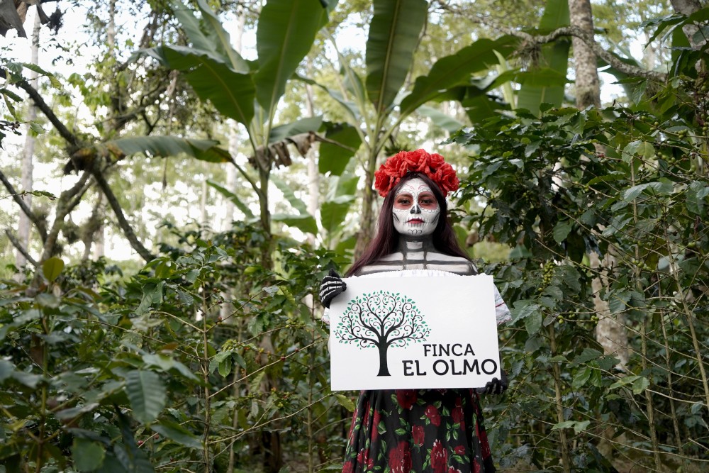 MEXIKO El Olmo - natural